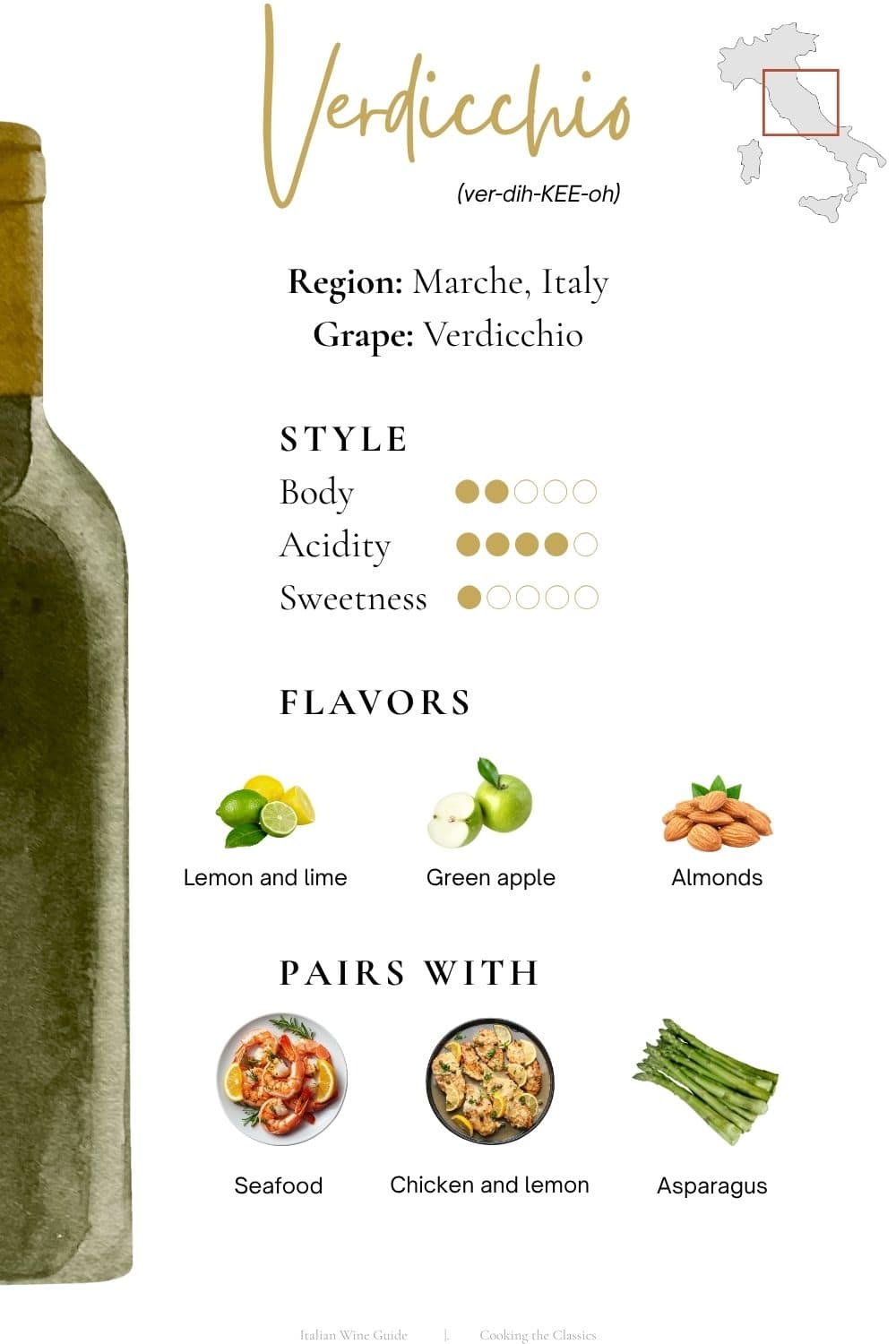Infographic guide to Verdicchio wine from Italy's Marche region showing the grape, flavor profile, body, acidity, sweetness, and food pairings including seafood, roast chicken, and asparagus.